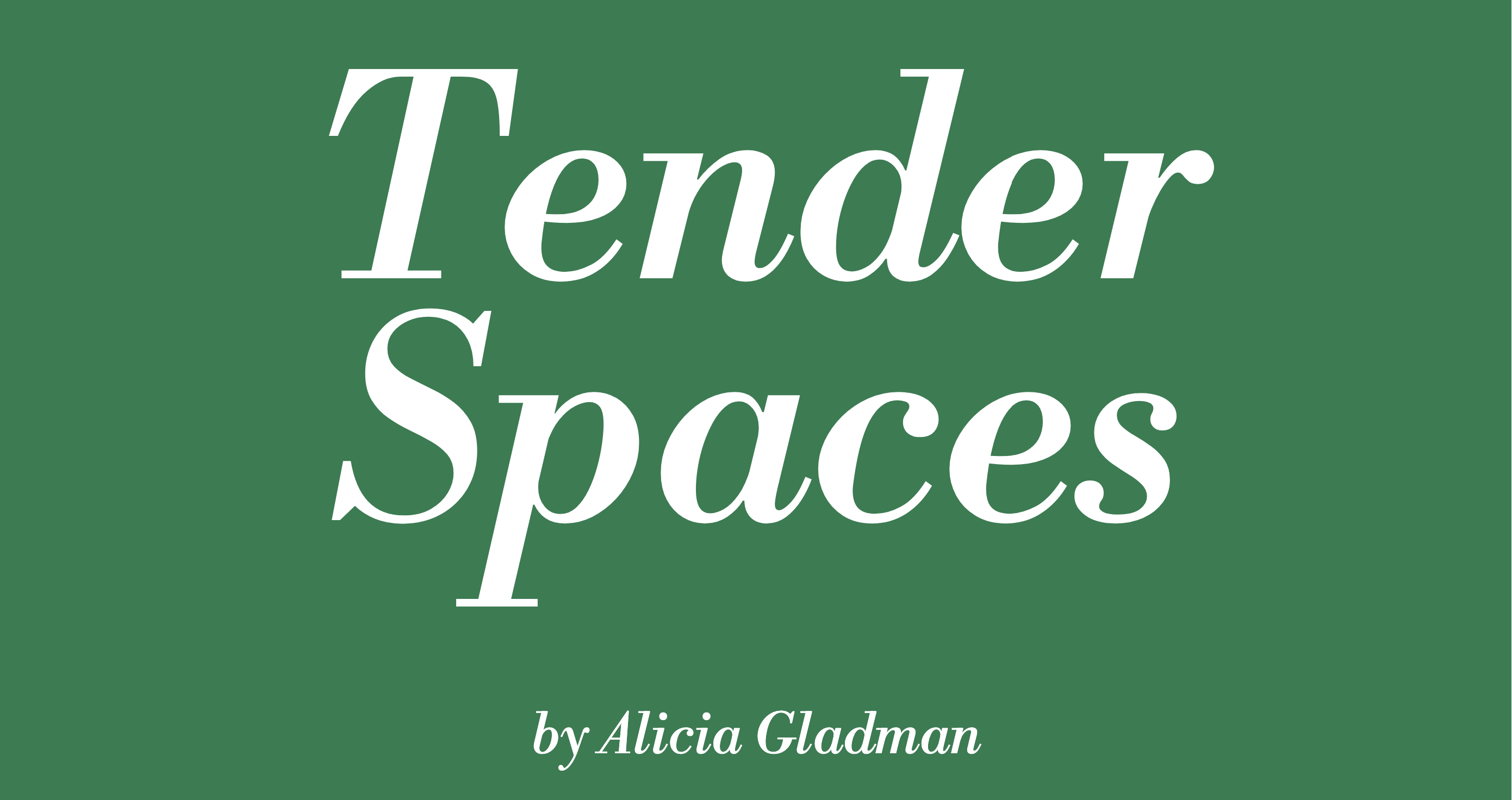 Tender Spaces screenshot